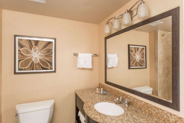 WINGATE BY WYNDHAM HOUMA (Bayou Cane)